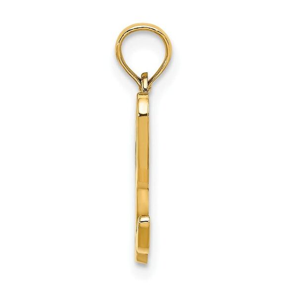 10K Yellow Gold Polished L Script Initial Charm - Picture 7 of 9